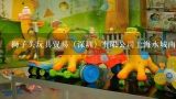 狮子头玩具贸易（深圳）有限公司上海水城南路分公司介绍？这个叫什么玩具？用小电子的，前面的头可以有多种多样的，而且照在墙上有图案的