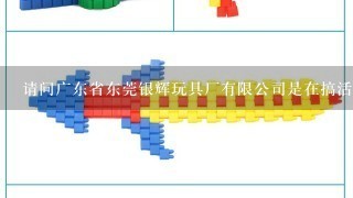 请问广东省东莞银辉玩具厂有限公司是在搞活动真的假的