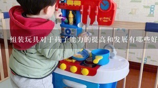 组装玩具对于孩子能力的提高和发展有哪些好处