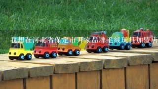 我想在河北省保定市开家品牌毛绒玩具加盟店