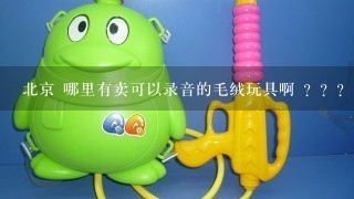 北京 哪里有卖可以录音的毛绒玩具啊 ？？？
