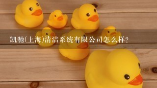凯驰(上海)清洁系统有限公司怎么样？
