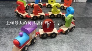 上海最大的玩具店在哪？？？