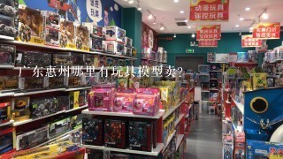 广东惠州哪里有玩具模型卖？