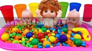 北京智慧童玩具有限公司怎么样？