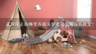 武汉汉正街哪里有摇头驴电动毛绒玩具批发？