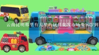 云南昆明那里有大型的玩具批发市场要10岁到14岁的那些玩具